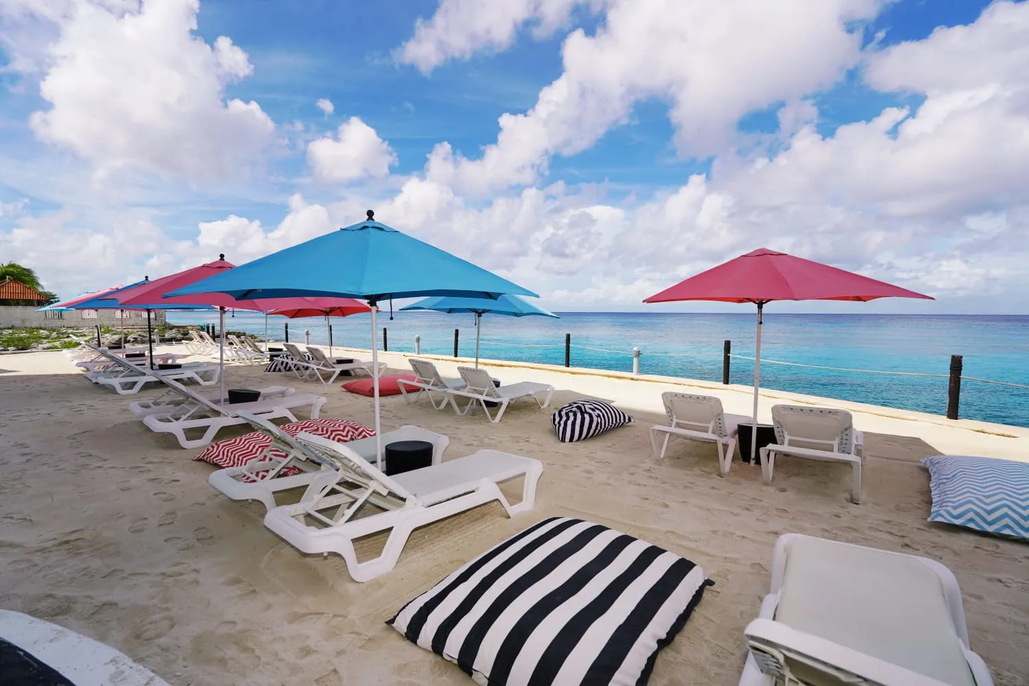 Basic Day Pass + 30-Minute Guided Snorkeling Tour – Coral Princess Cozumel · Photo 5