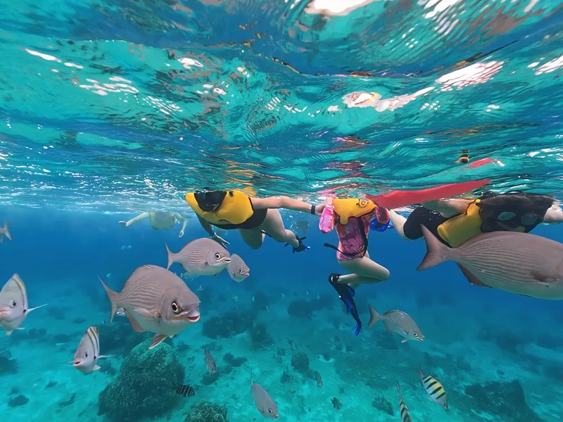 Basic Day Pass + 30-Minute Guided Snorkeling Tour – Coral Princess Cozumel · Photo 9